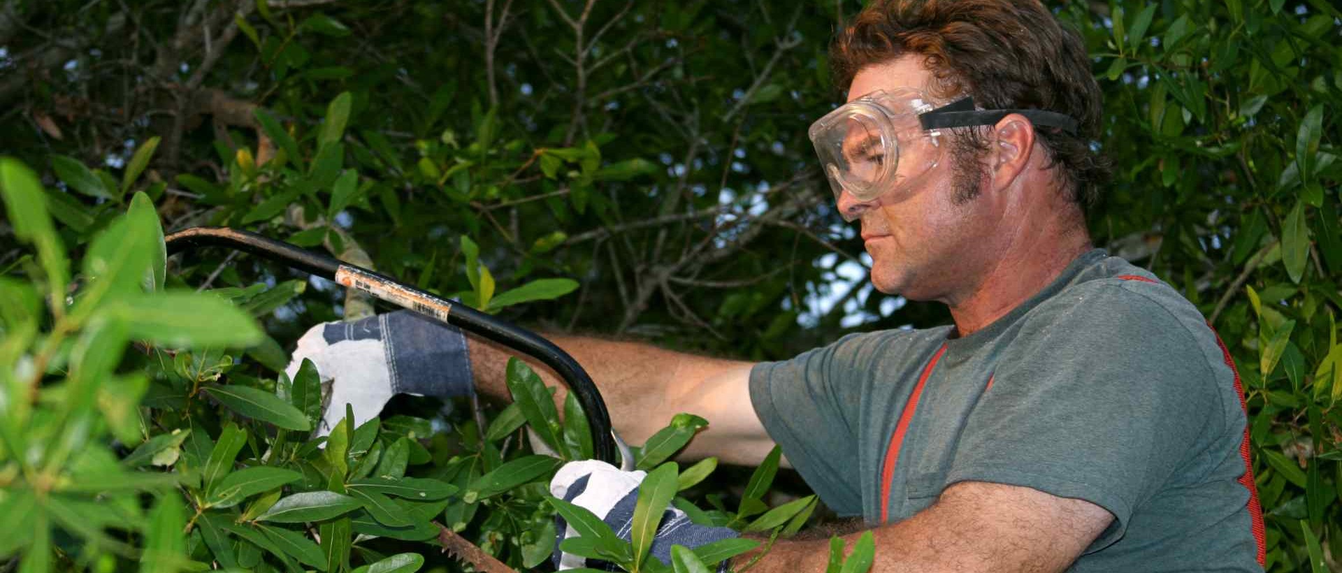 garden clearance CR5