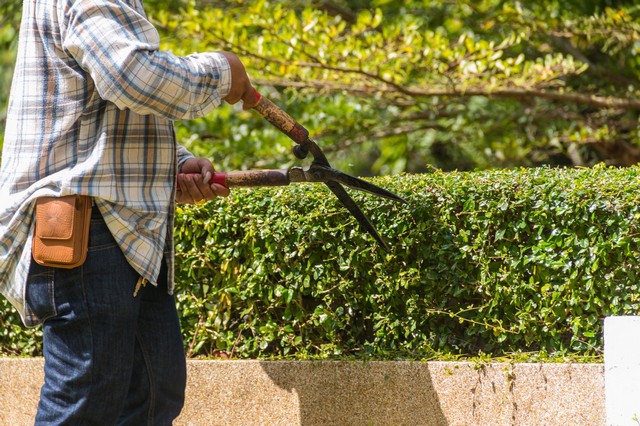 Garden Maintenance Coulsdon, Old Coulsdon, Chipstead, CR5